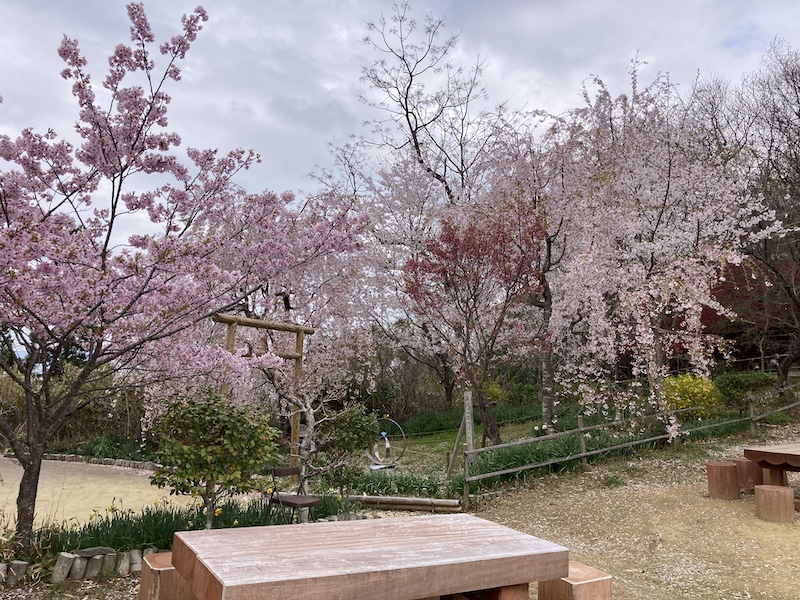 f:id:dachikusakun:20220403165936j:plain