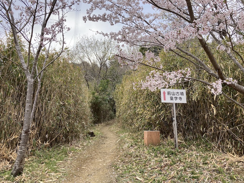 f:id:dachikusakun:20220403165943j:plain