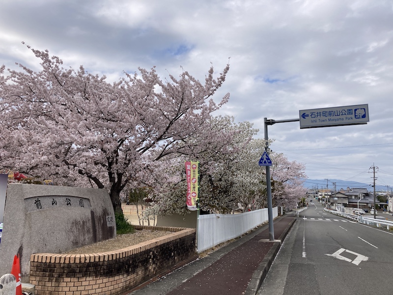 f:id:dachikusakun:20220403165951j:plain