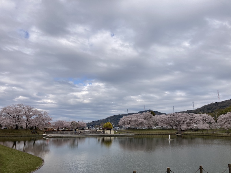 f:id:dachikusakun:20220403170014j:plain