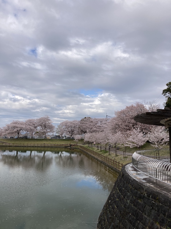 f:id:dachikusakun:20220403170022j:plain