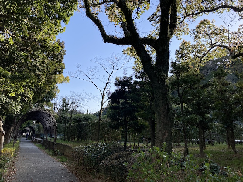 f:id:dachikusakun:20220404183834j:plain