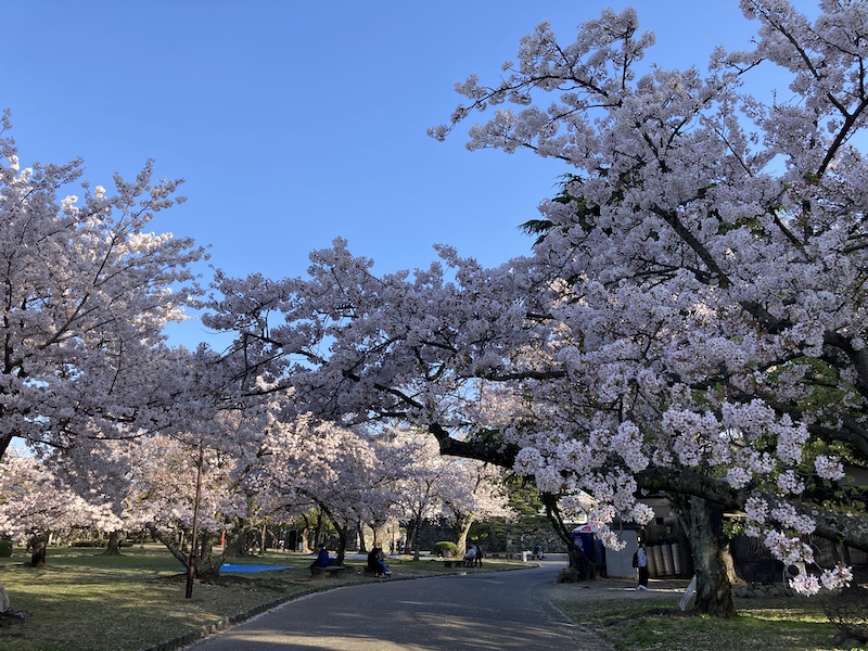 f:id:dachikusakun:20220404183912j:plain