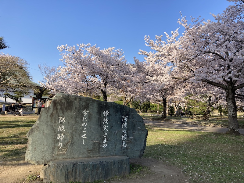 f:id:dachikusakun:20220404183919j:plain