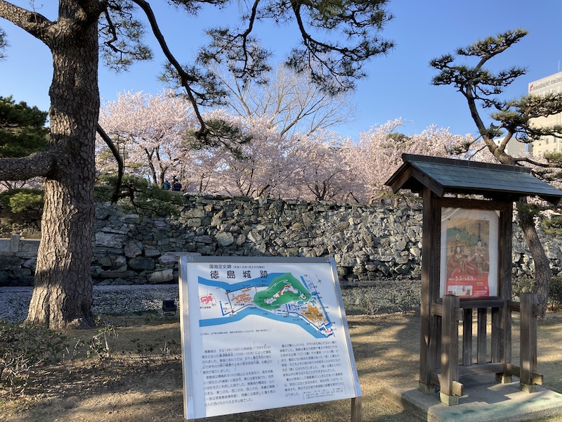 f:id:dachikusakun:20220404183929j:plain