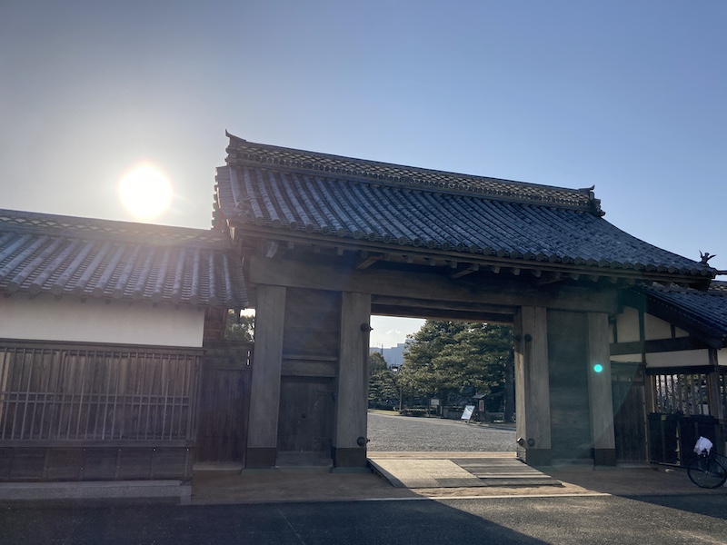 f:id:dachikusakun:20220404183939j:plain