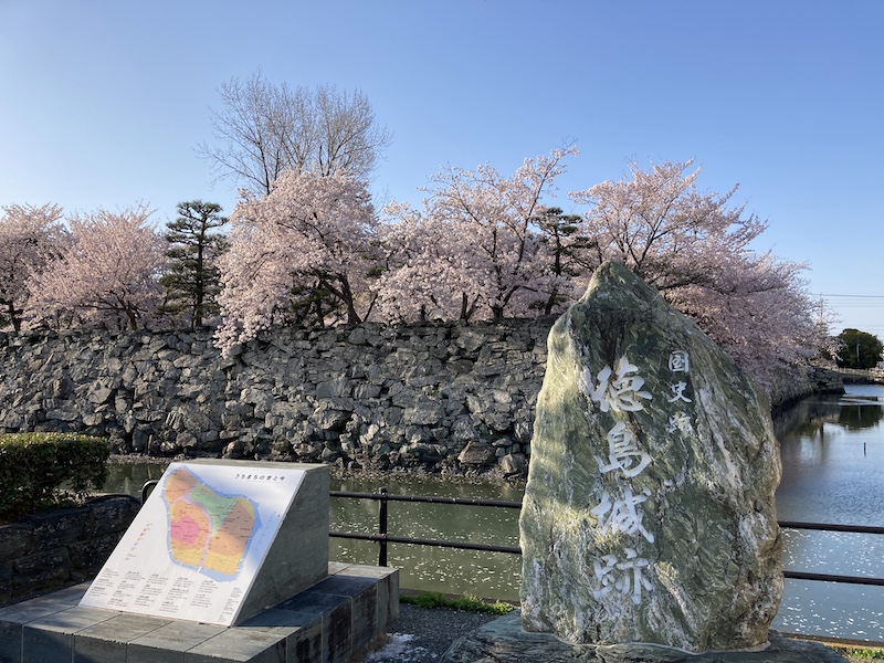 f:id:dachikusakun:20220404183943j:plain