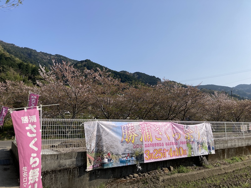 f:id:dachikusakun:20220409184348j:plain