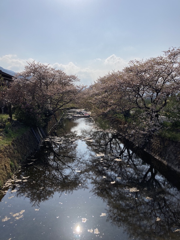 f:id:dachikusakun:20220409184402j:plain