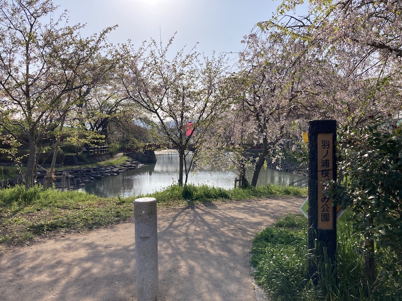 f:id:dachikusakun:20220409184452j:plain