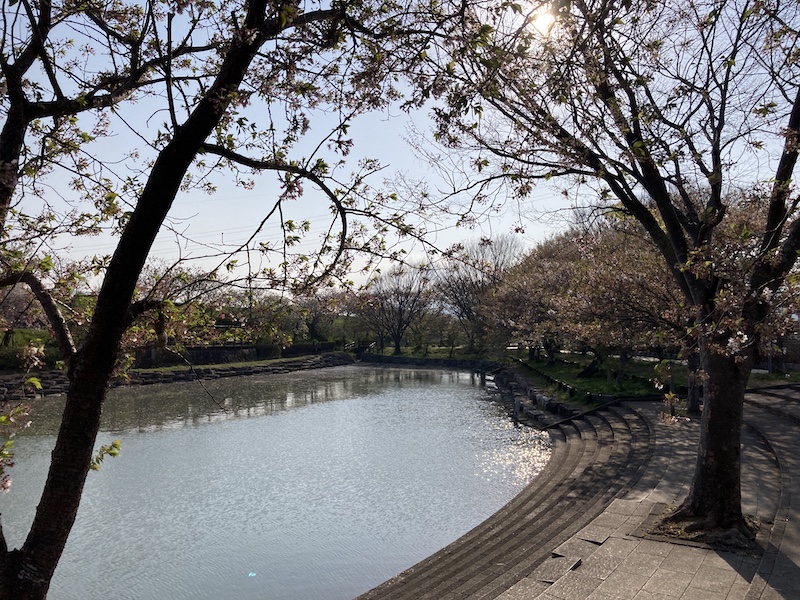 f:id:dachikusakun:20220409184501j:plain