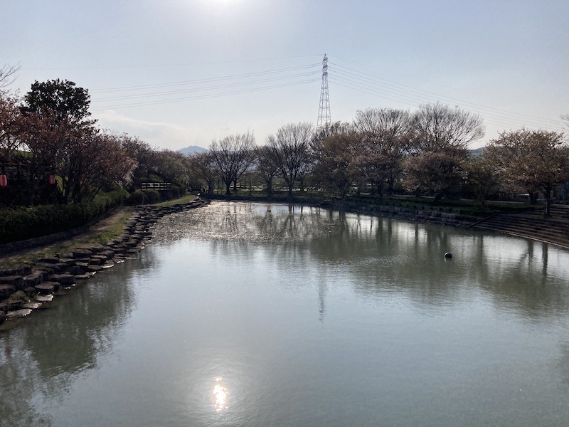 f:id:dachikusakun:20220409184516j:plain
