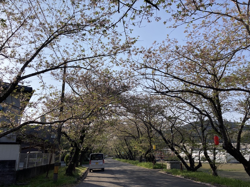 f:id:dachikusakun:20220409184520j:plain