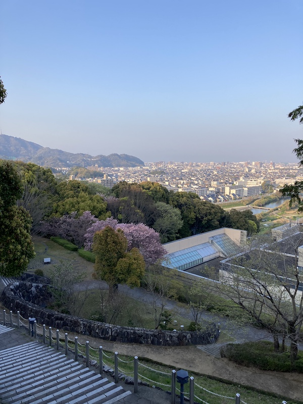 f:id:dachikusakun:20220409184614j:plain