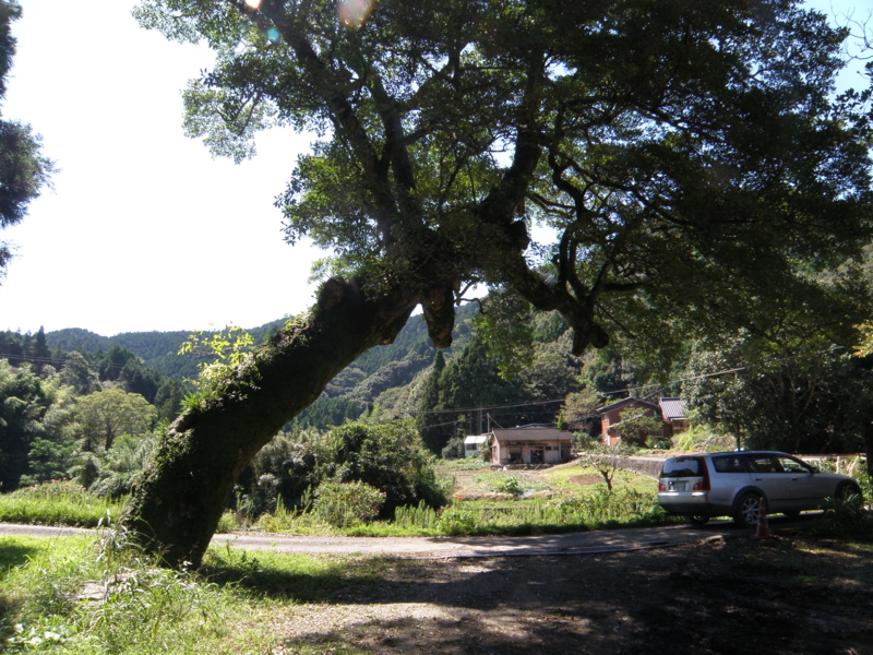 f:id:dachos-club:20120925105735j:image