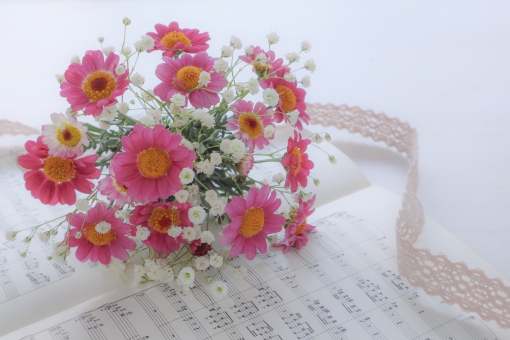 f:id:dachs0290:20180616123855j:plain f:id:dachs0290:20180616123855j:plain