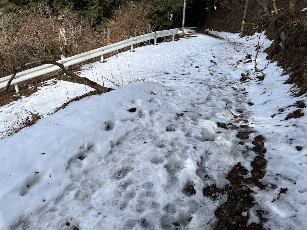 f:id:dachshunnu:20260214184735j:image