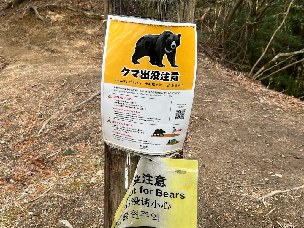 f:id:dachshunnu:20260214185307j:image