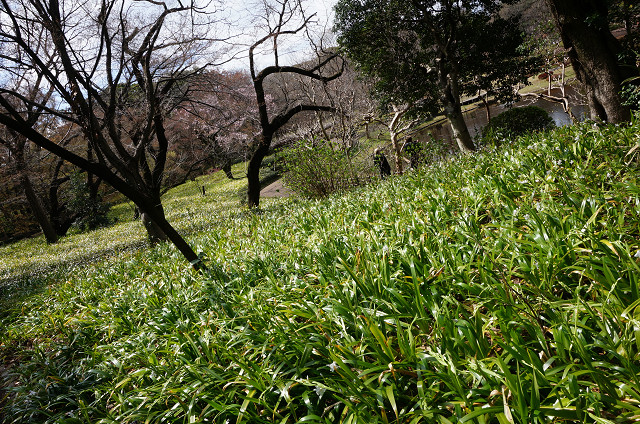 f:id:dad_aslan:20200321105221j:plain f:id:dad_aslan:20200321105221j:plain