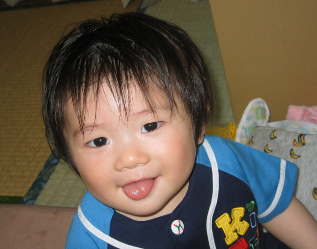 f:id:dad_aslan:20200502132750j:plain