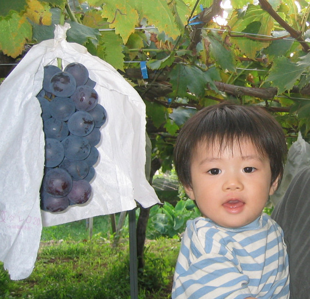 f:id:dad_aslan:20200503161526j:plain