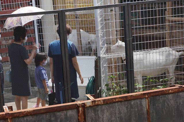 f:id:dad_aslan:20200806210159j:plain f:id:dad_aslan:20200806210159j:plain