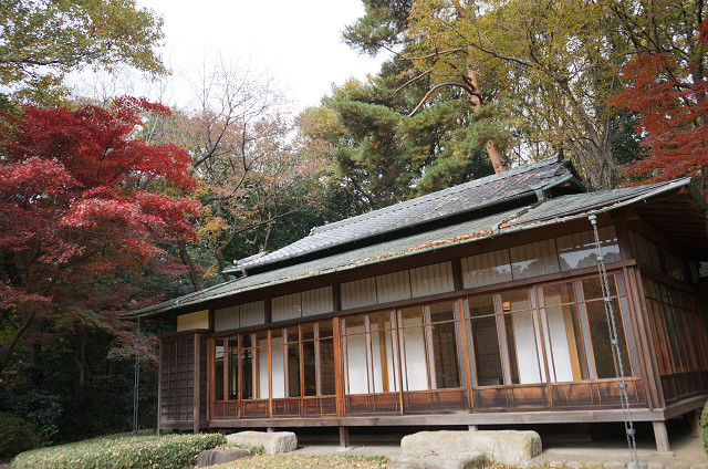 f:id:dad_aslan:20201102232621j:plain f:id:dad_aslan:20201102232621j:plain