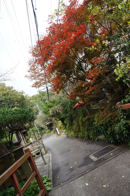 f:id:dad_aslan:20201114105415j:plain