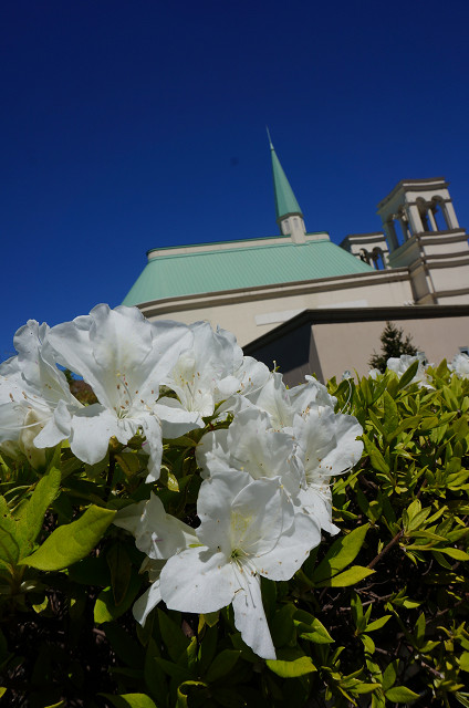 f:id:dad_aslan:20210206213217j:plain