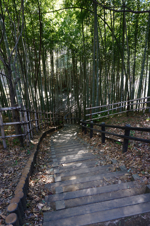 f:id:dad_aslan:20210207172444j:plain