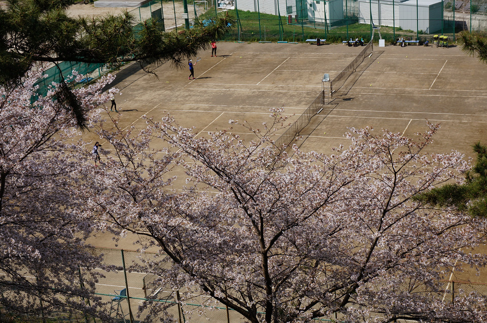 f:id:dad_aslan:20210327143313j:plain