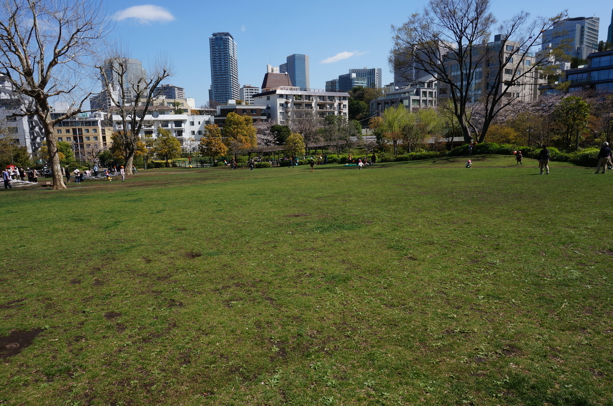 f:id:dad_aslan:20210416225415j:plain