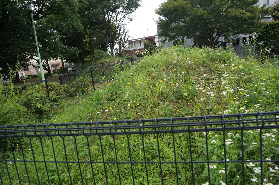 f:id:dad_aslan:20211021194246j:plain