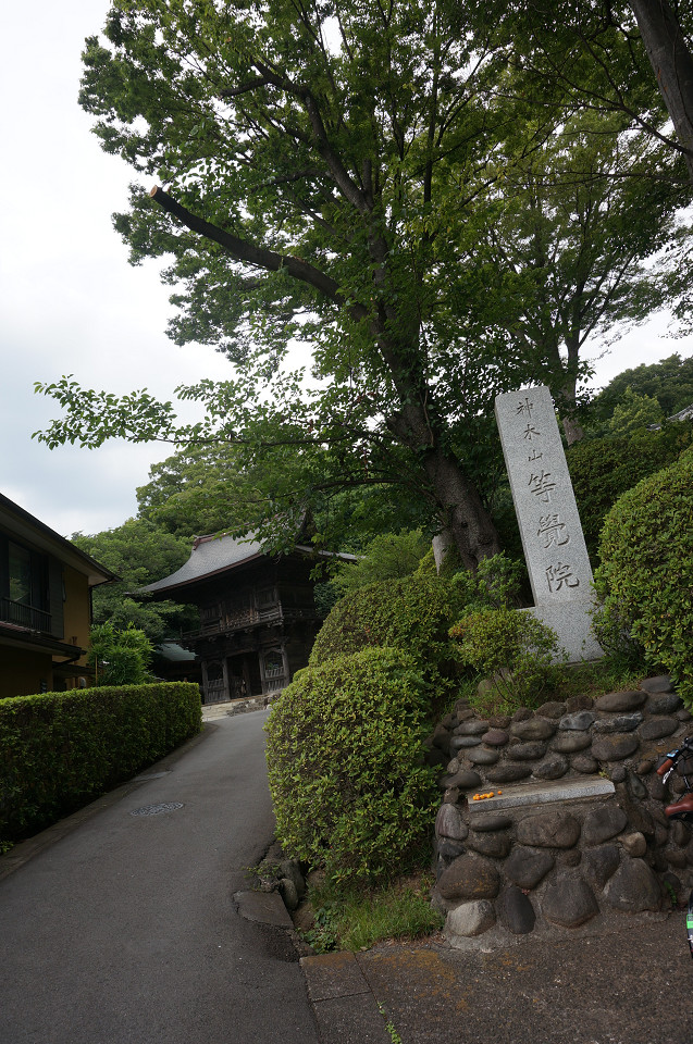 f:id:dad_aslan:20211021194312j:plain