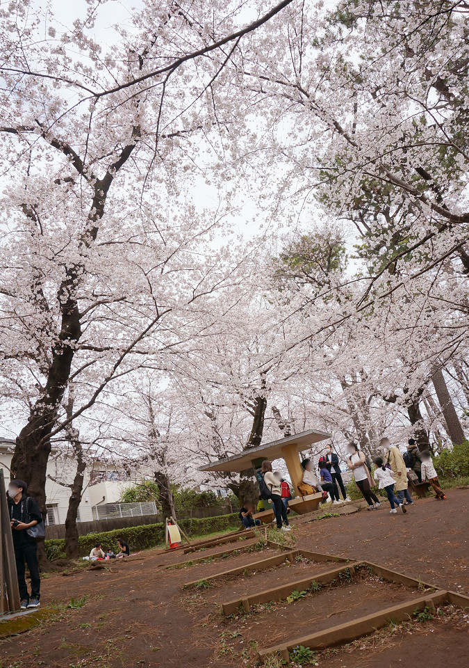 日蓮上人と勝海舟を魅了した洗足池 - 未来そうぞう日記