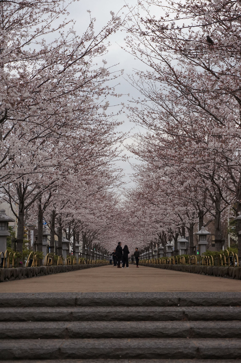 川人勝延作1.8尺幅立 清風塔景 縦193cm 幅67cm 太巻二重箱 大正11 川人勝延作1.8尺幅立 清風塔景 縦193cm 幅67cm 太巻二重箱 大正11 川人