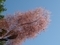 20260531080810
