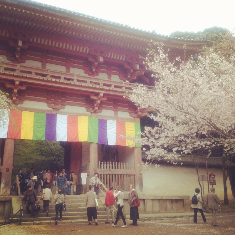 f:id:dadaya1227:20120422195903j:image:w250
