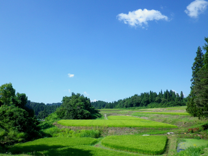 f:id:dadaya1227:20120824145546j:image:w250