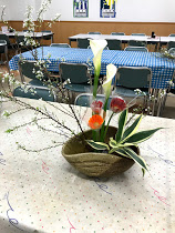 f:id:daffodieee:20190122230052j:plain