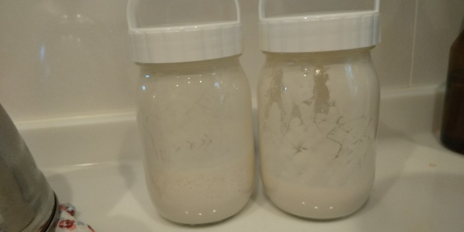 自家製酵母でロールパン＆コーンパン