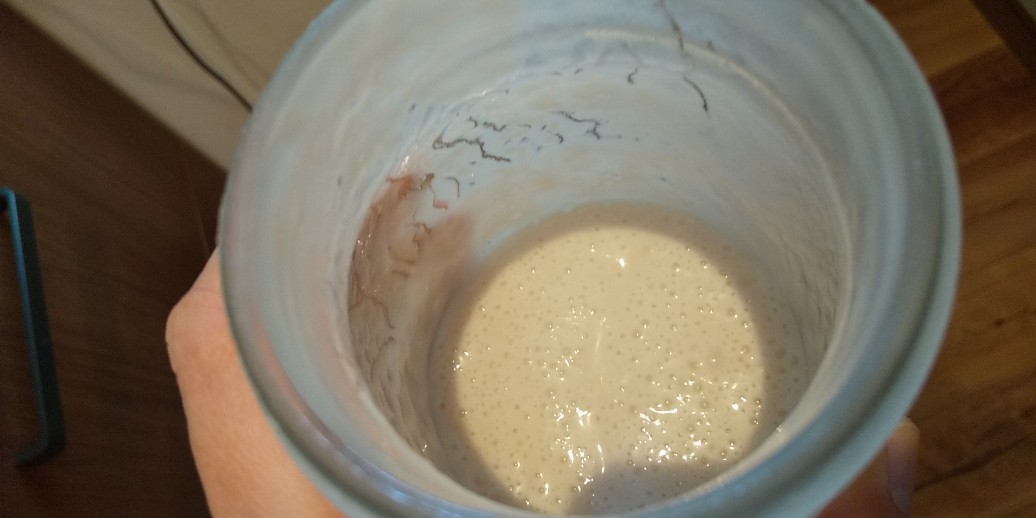 ドライイーストがない！自家製酵母を仕込んでパンを焼いてみた  