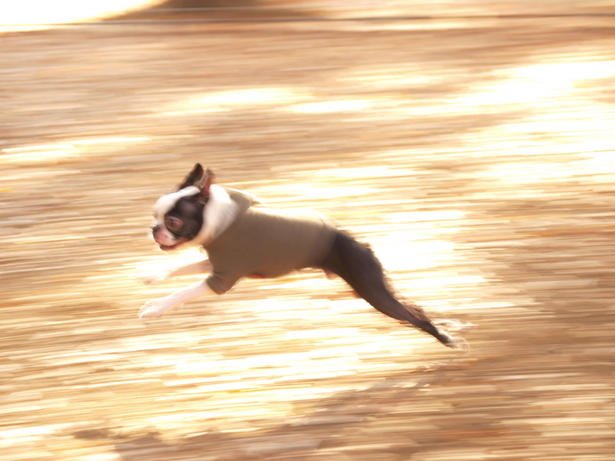 f:id:dagashi929:20180109233218j:plain