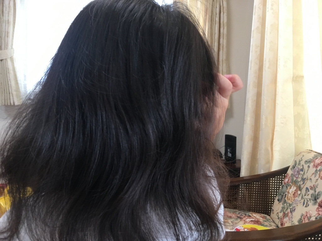 f:id:dagasoregae:20170827164013j:plain ブラシが毛に引っかからないので嫌がることなくブラッシングさせてくれる娘