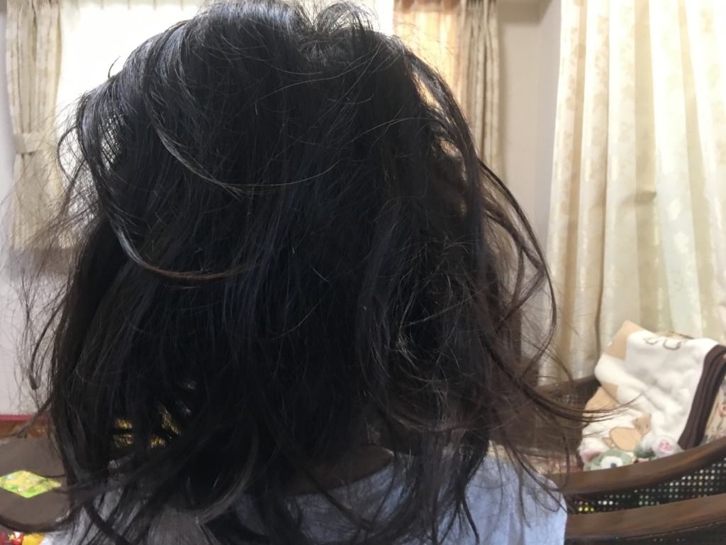f:id:dagasoregae:20170827172558j:plain タングルティザーでボサボサ癖っ毛の娘の髪をとかしてみた