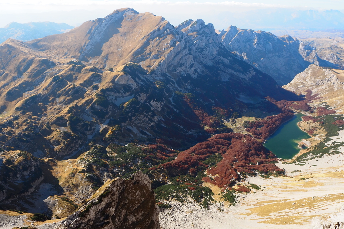 f:id:dai-de-dai:20191212021801j:plain