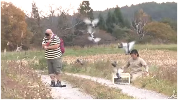 【水曜日のダウンタウン】クロちゃんの面白かった回をまとめた だいのブログ
