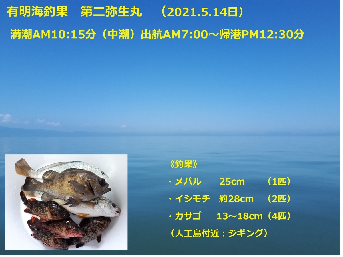 イイダコとは 動植物の人気 最新記事を集めました はてな