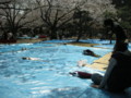 20100403112910