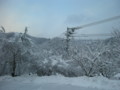 20101229075032